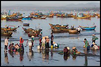 Fishermen and fish buyers on beach, early morning. Mui Ne, Vietnam (color)