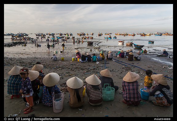 Women with conical hats sit on beach as fresh catch arrives. Mui Ne, Vietnam (color)