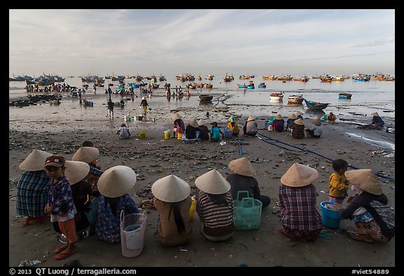 Women with conical hats sit on beach as fresh catch arrives. Mui Ne, Vietnam