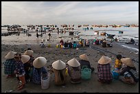 Women with conical hats sit on beach as fresh catch arrives. Mui Ne, Vietnam (color)