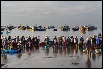 Crowds gather on wet beach for freshly caught seafood. Mui Ne, Vietnam (color)