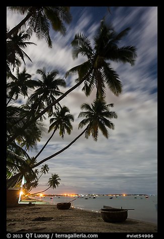 Palm-tree lined beach and coracle boats at night. Mui Ne, Vietnam