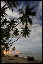 Palm-tree lined beach and coracle boats at night. Mui Ne, Vietnam (color)