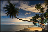 Beachfront resort at night. Mui Ne, Vietnam (color)