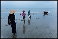 Fishermen pulling line onto beach. Mui Ne, Vietnam ( color)