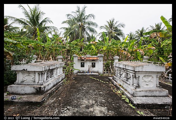 Tombs amidst grove of banana trees. Ben Tre, Vietnam (color)