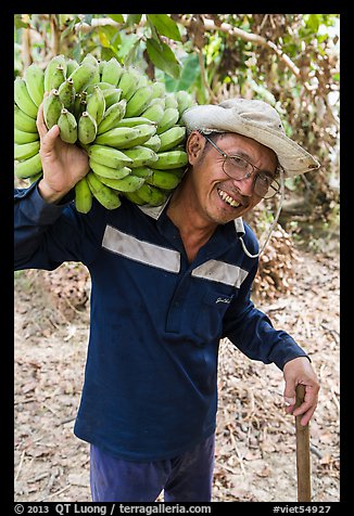 Man shouldering banana cluster. Ben Tre, Vietnam (color)