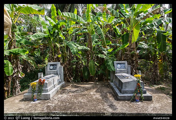 Tombs and banana trees. Ben Tre, Vietnam