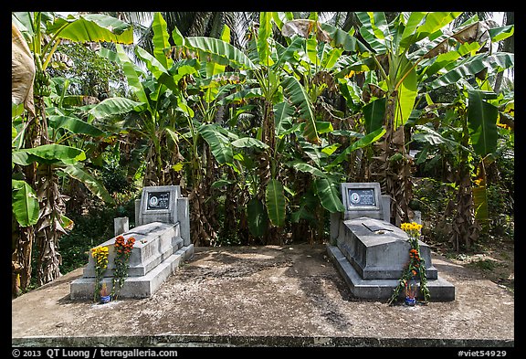 Tombs and banana trees. Ben Tre, Vietnam (color)