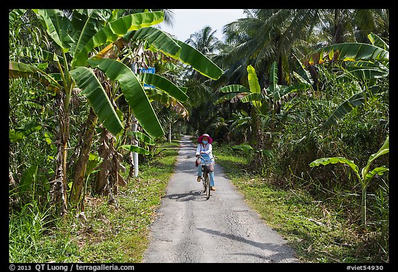 Woman bicycling on narrow road surrounded by banana trees. Ben Tre, Vietnam