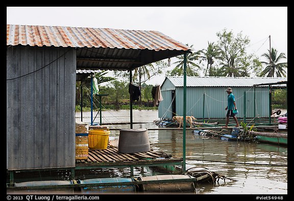 Man and dog walking across houseboats. My Tho, Vietnam