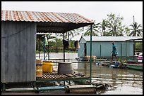 Man and dog walking across houseboats. My Tho, Vietnam (color)