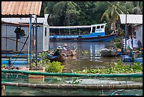 Men fishing next to houseboats. My Tho, Vietnam (color)