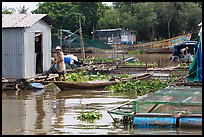 Man paddling out of houseboat. My Tho, Vietnam (color)