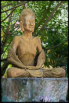 Buddha statue, Hang Pagoda. Tra Vinh, Vietnam ( color)