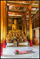 Buddhas in main temple, Hang Pagoda. Tra Vinh, Vietnam (color)