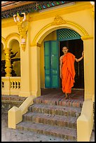 Monk standing in entrance, Ang Pagoda. Tra Vinh, Vietnam ( color)