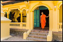 Monk standing in front of Ang Pagoda. Tra Vinh, Vietnam ( color)