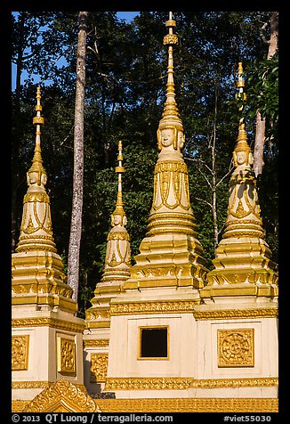 Stupas, Ang Pagoda. Tra Vinh, Vietnam (color)