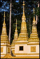 Stupas, Ang Pagoda. Tra Vinh, Vietnam ( color)