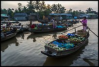 Woman paddles boat loaded with produce, Phung Diem floating market. Can Tho, Vietnam (color)