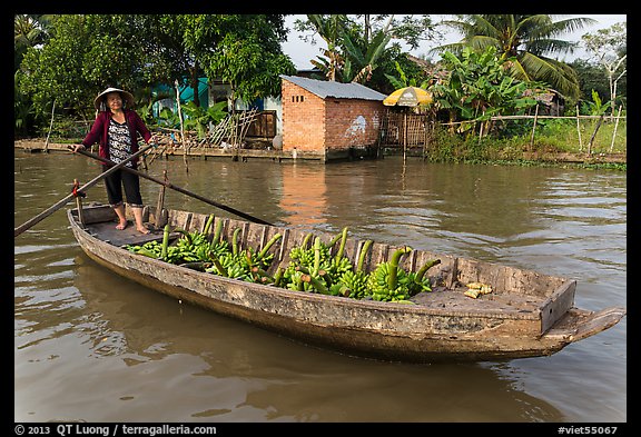 Woman paddling sampan loaded with bananas. Can Tho, Vietnam