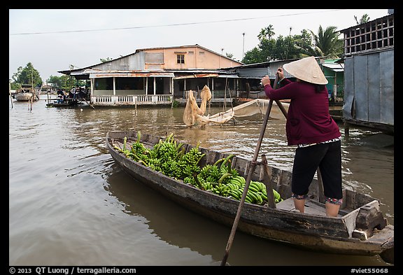 Woman paddling boat loaded with bananas. Can Tho, Vietnam (color)