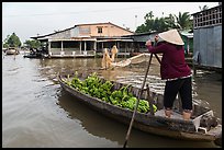 Woman paddling boat loaded with bananas. Can Tho, Vietnam (color)
