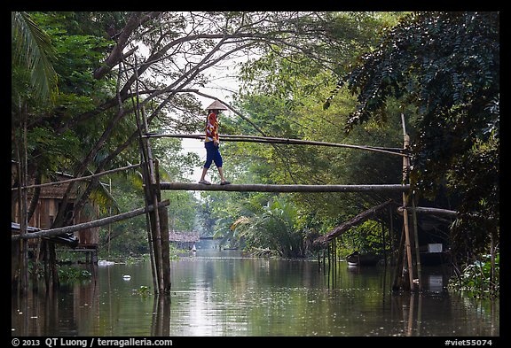 Villager crossing monkey bridge. Can Tho, Vietnam (color)