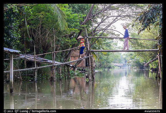 Villagers crossing monkey bridge. Can Tho, Vietnam (color)