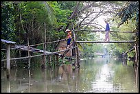 Villagers crossing monkey bridge. Can Tho, Vietnam (color)