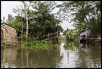 Riverside village and monkey bridge. Can Tho, Vietnam (color)