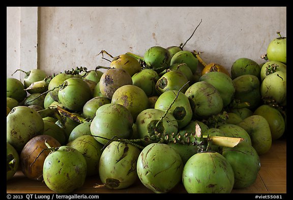 Coconuts. Can Tho, Vietnam