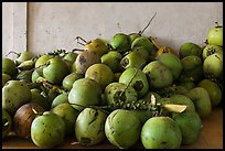 Coconuts. Can Tho, Vietnam ( color)