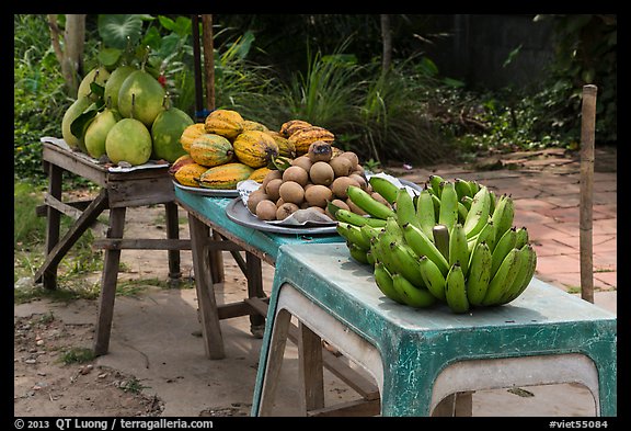 Fruit stand. Can Tho, Vietnam (color)