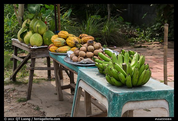 Fruit stand. Can Tho, Vietnam