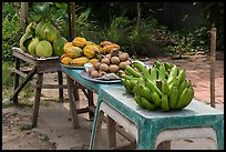 Fruit stand. Can Tho, Vietnam ( color)