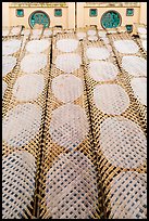 Drying rice paper wrappers. Can Tho, Vietnam ( color)