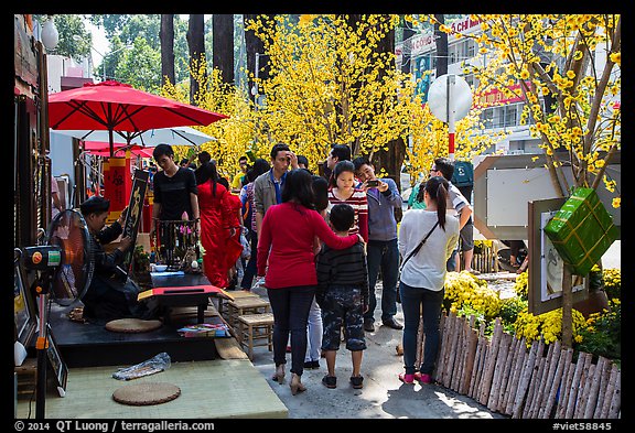 Sidewalk with Lunar New Year decorations and booths. Ho Chi Minh City, Vietnam (color)