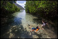 Children swim in mangrove forest, Bay Canh Island, Con Dao National Park. Con Dao Islands, Vietnam ( color)