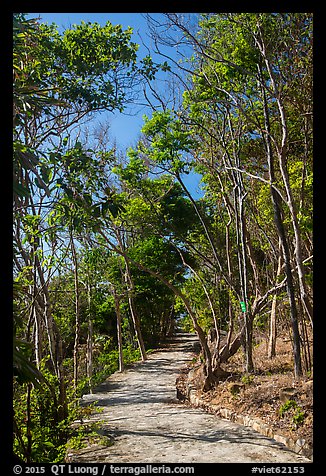 Trail through forest, Bay Canh Island, Con Dao National Park. Con Dao Islands, Vietnam (color)