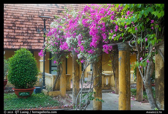 Flowers and house, Con Son. Con Dao Islands, Vietnam (color)