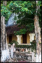 Tropical trees and historic house, Con Son. Con Dao Islands, Vietnam ( color)