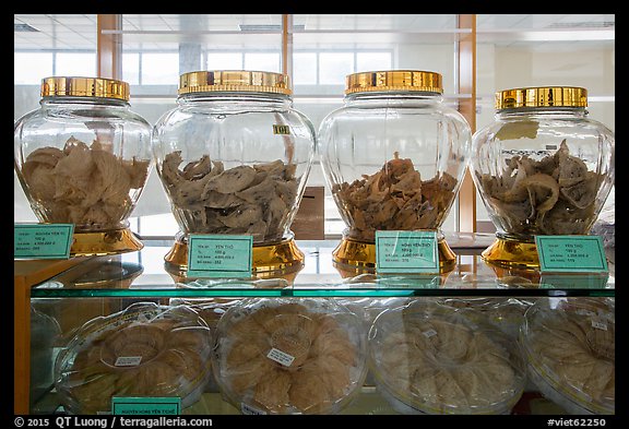 Jars of eddible birds nest. Con Dao Islands, Vietnam (color)