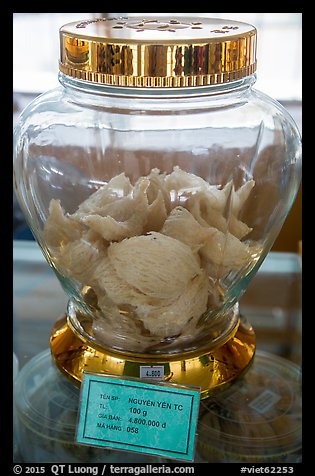 Jar of white eddible birds nest. Con Dao Islands, Vietnam (color)