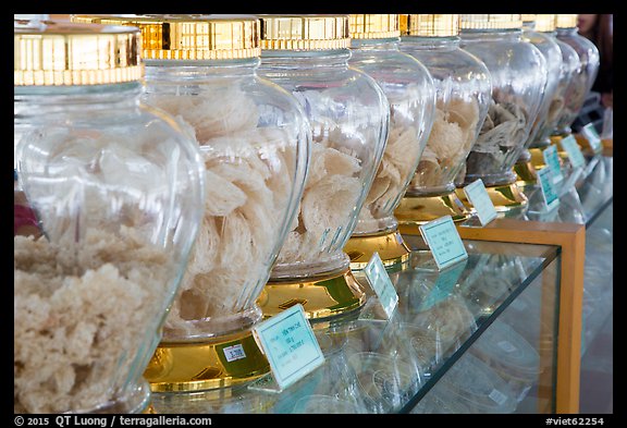 Row of eddible birds nest jars from local cliffs. Con Dao Islands, Vietnam (color)