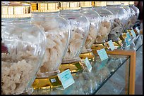 Row of eddible birds nest jars from local cliffs. Con Dao Islands, Vietnam ( color)