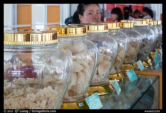 Woman peering over row of eddible birds nest jars. Con Dao Islands, Vietnam (color)