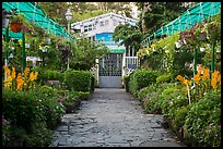 Orchid house, Saigon botanical garden. Ho Chi Minh City, Vietnam ( color)