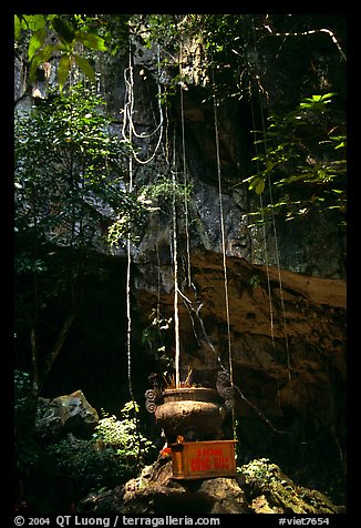 Urn and lianas near the entrance of upper cave, Phong Nha Cave. Vietnam